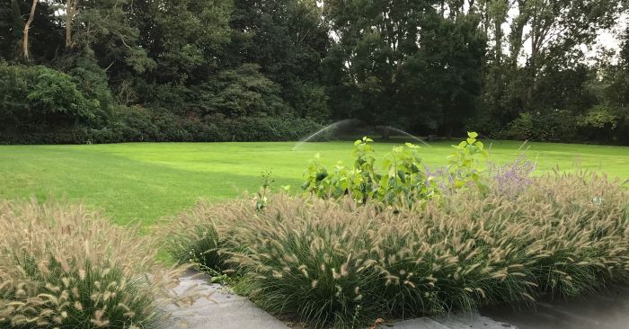 Bekijk fotos van ons Tuinontwerp, Tuinaanleg en Tuinonderhoud