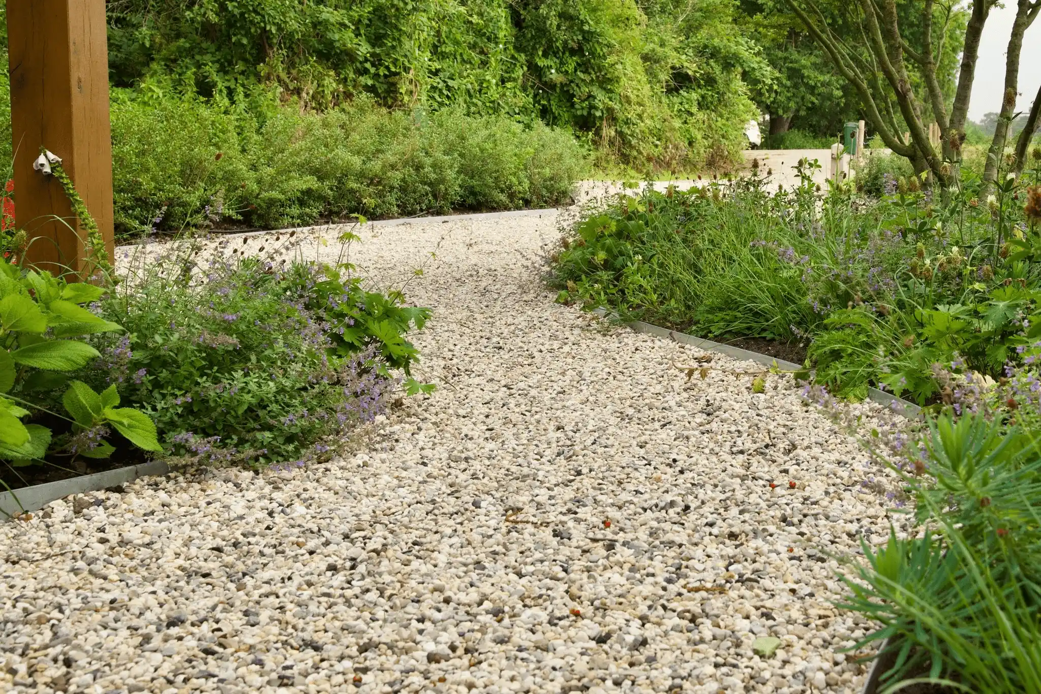 Grindpad in een tuin, omgeven door groene beplanting en paarse bloemen, met bomen op de achtergrond