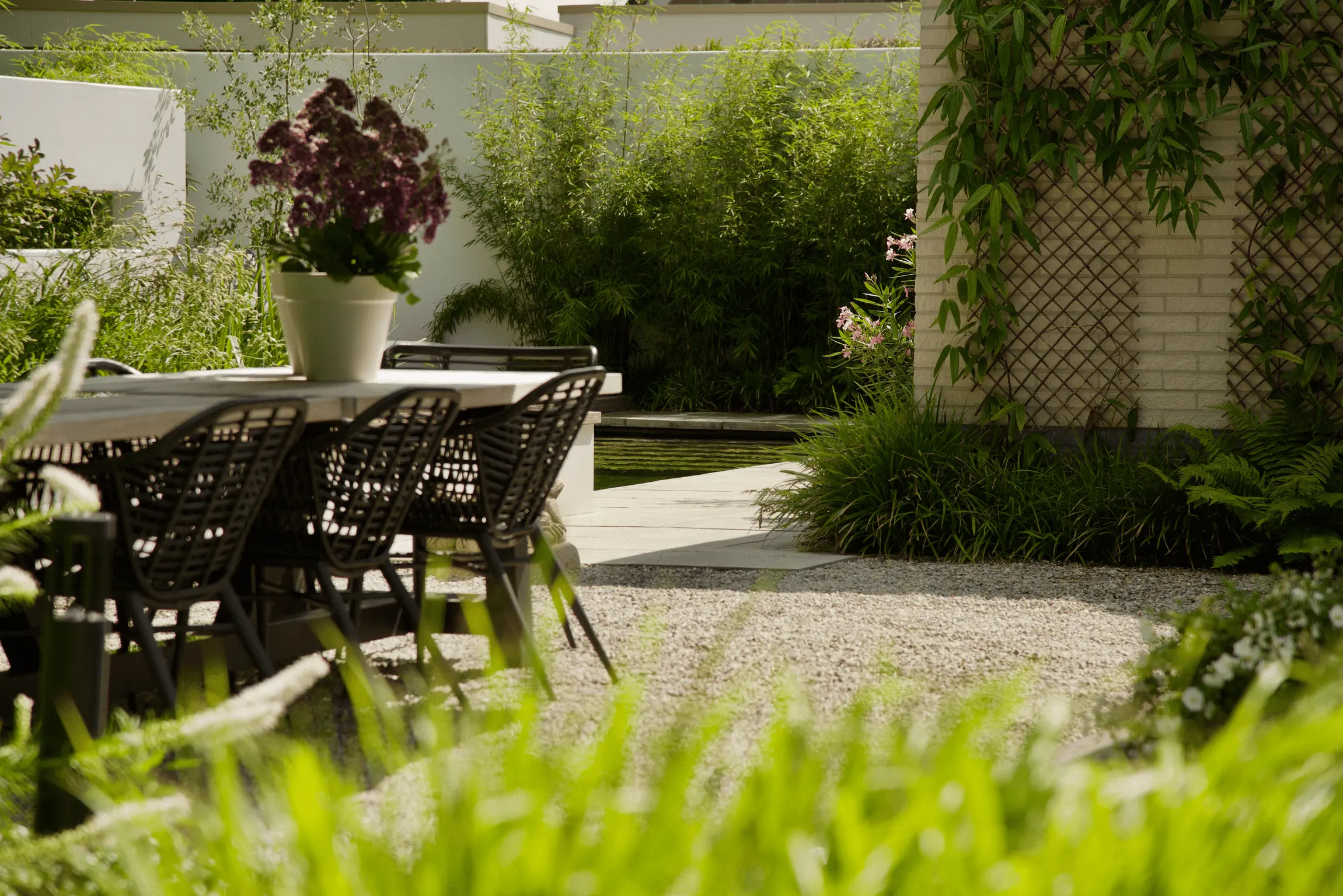 Moderne tuin met zwarte tuinstoelen en tafel op grindpad, omgeven door bamboe, grassen en bloeiende planten langs witte muren