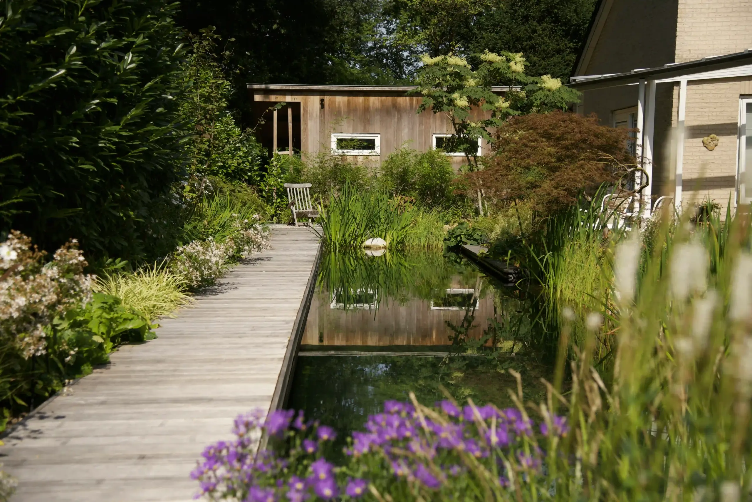 Natuurlijke zwemvijver met houten vlonder, omgeven door weelderige beplanting en een houten tuinhuis op de achtergrond
