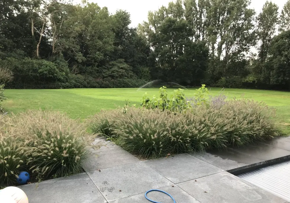 Het ontwerpen van bedrijfstuinen in Lettele