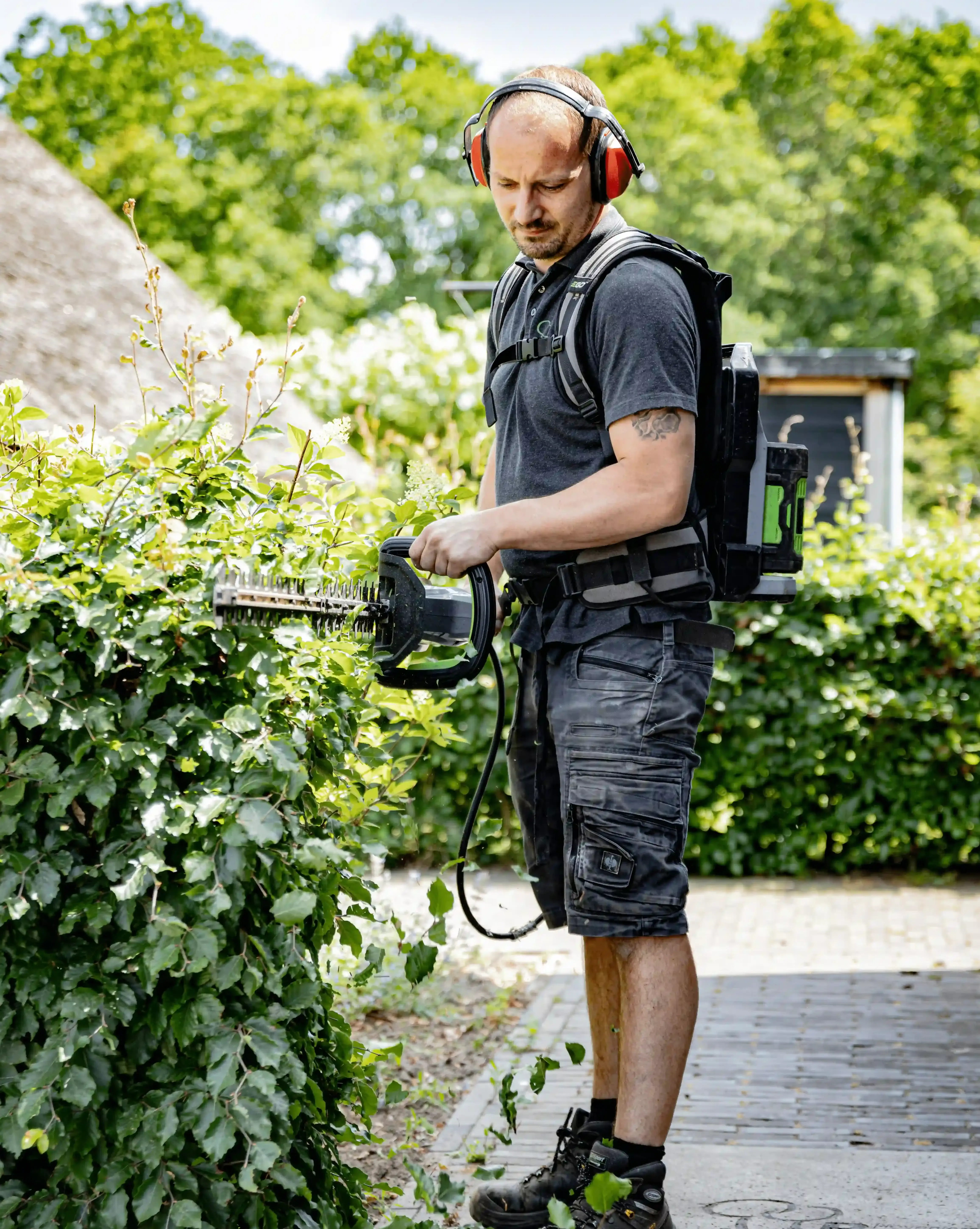 Man met gehoorbescherming en rugzakaccu snoeit een groene heg met een elektrische heggenschaar.