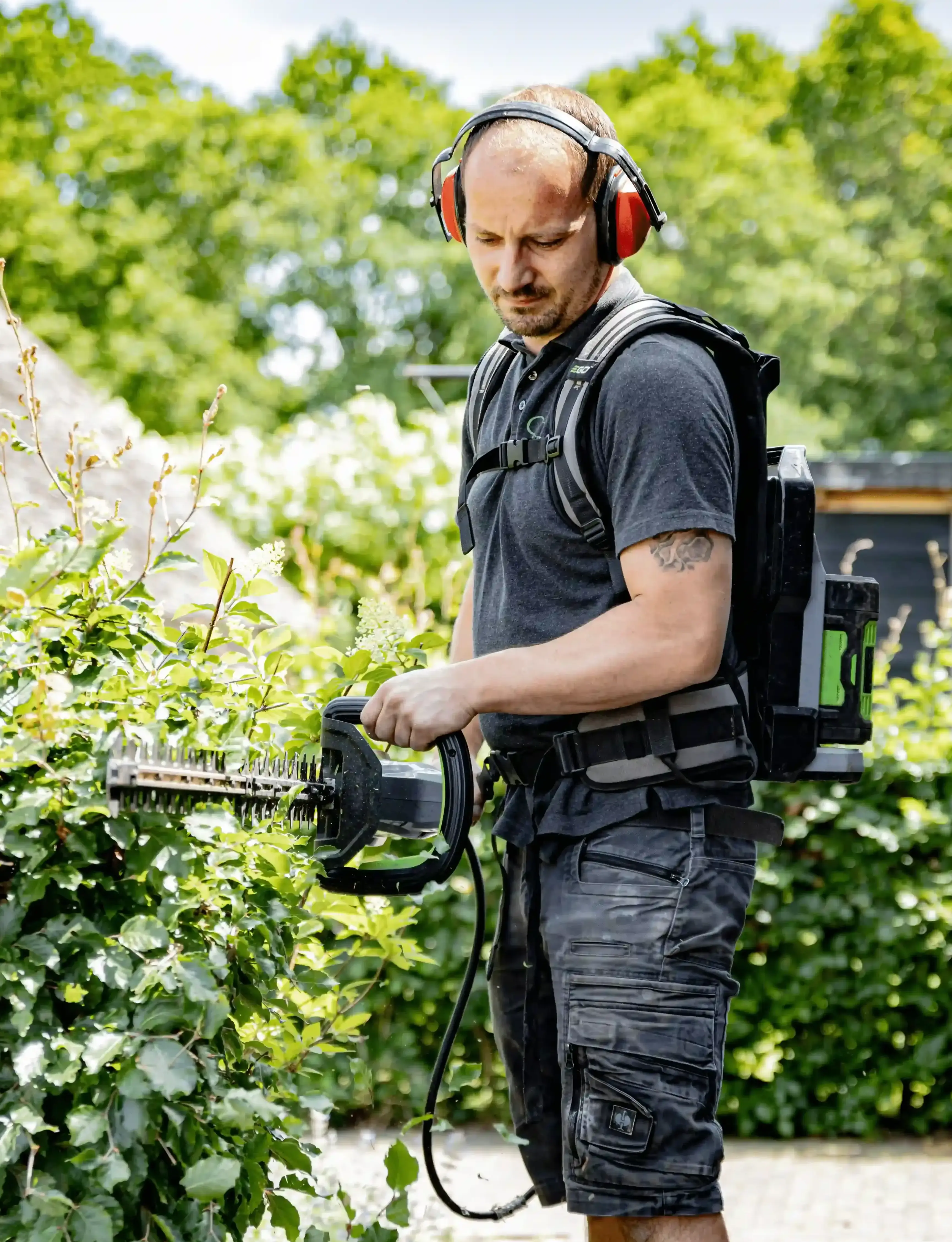 Man met gehoorbescherming en rugzakaccu snoeit een groene heg met een elektrische heggenschaar.