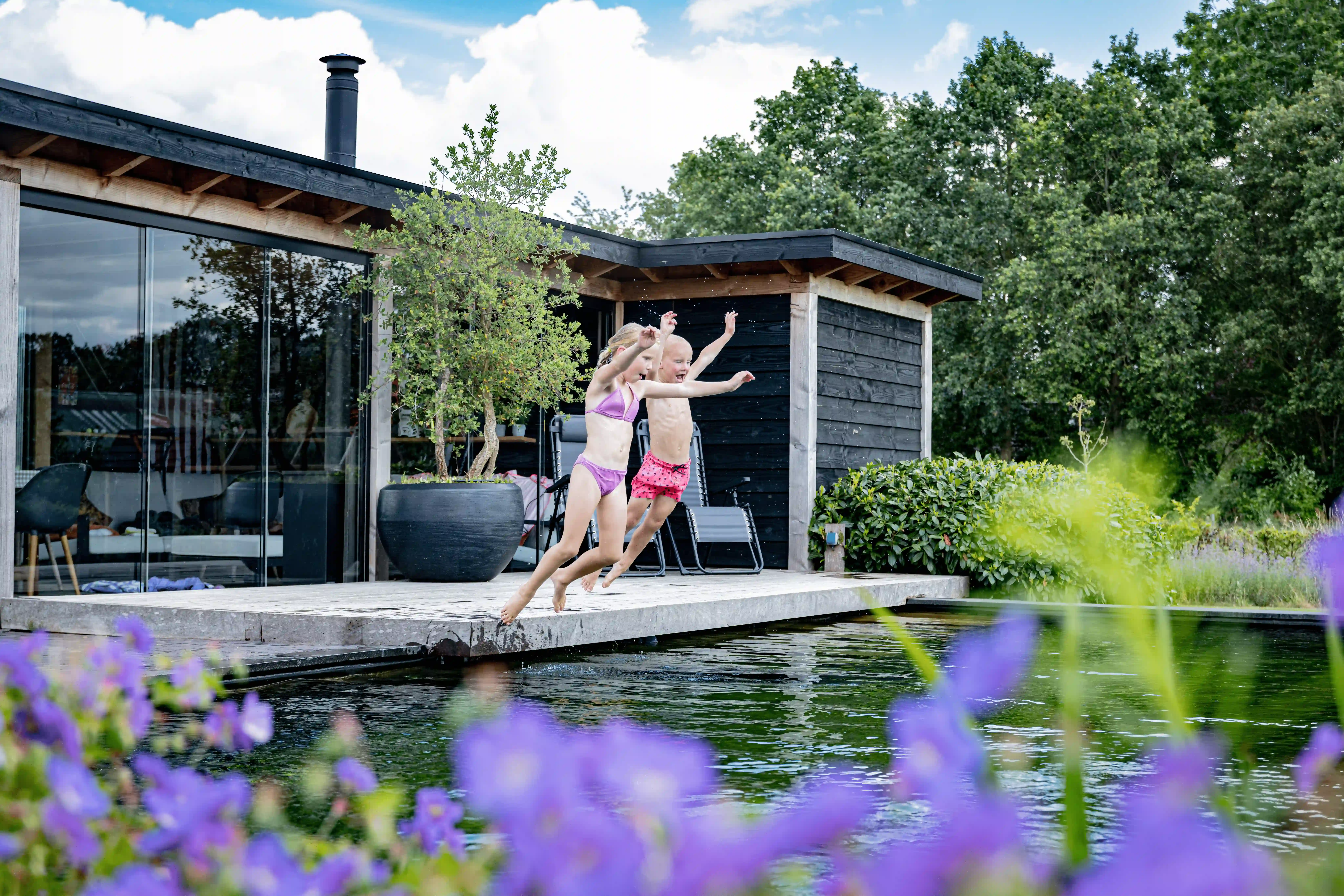 tuin met zwemvijver Wijhe